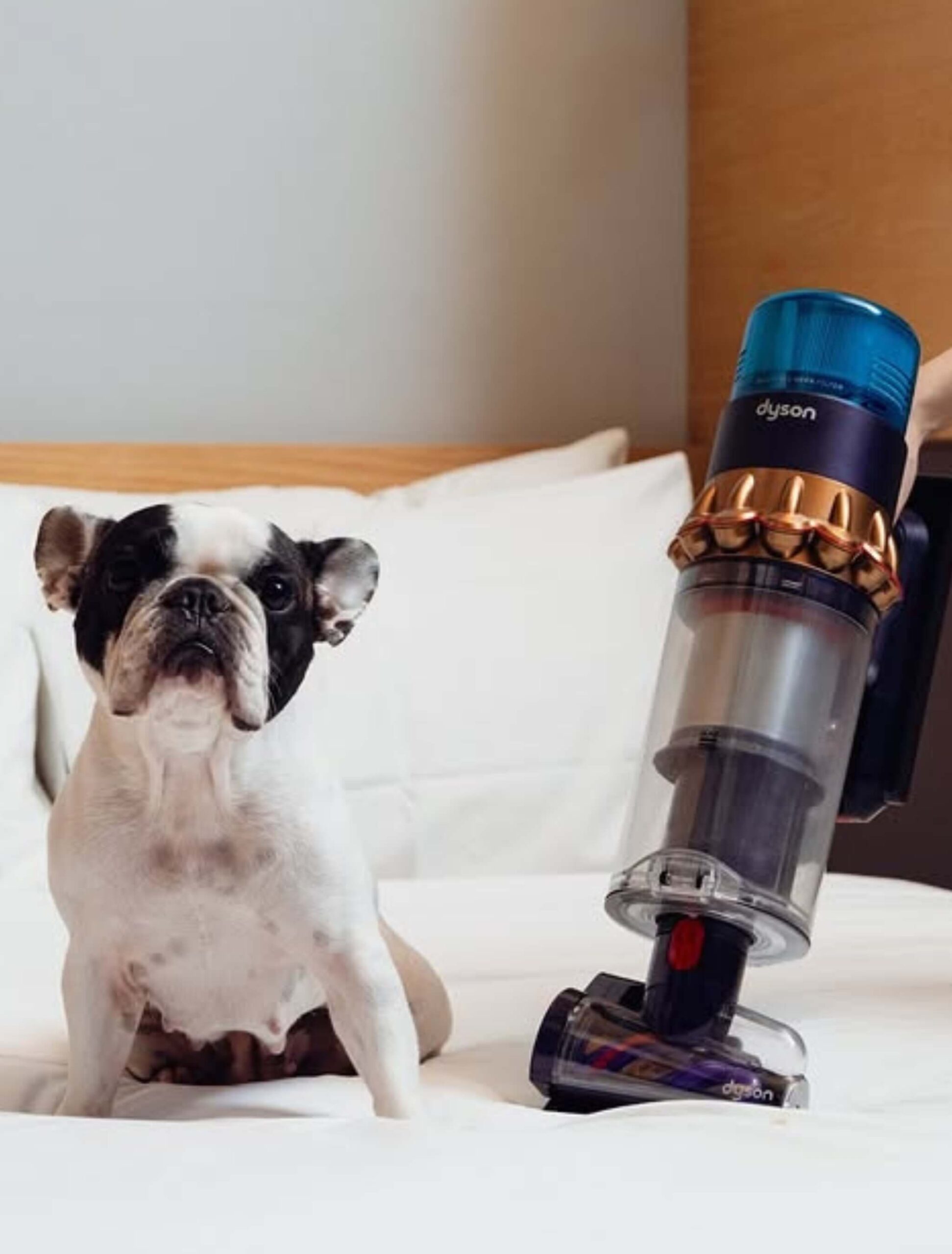 Dyson stores in istanbul