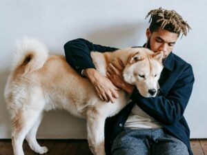 Emergency Veterinarians in Istanbul