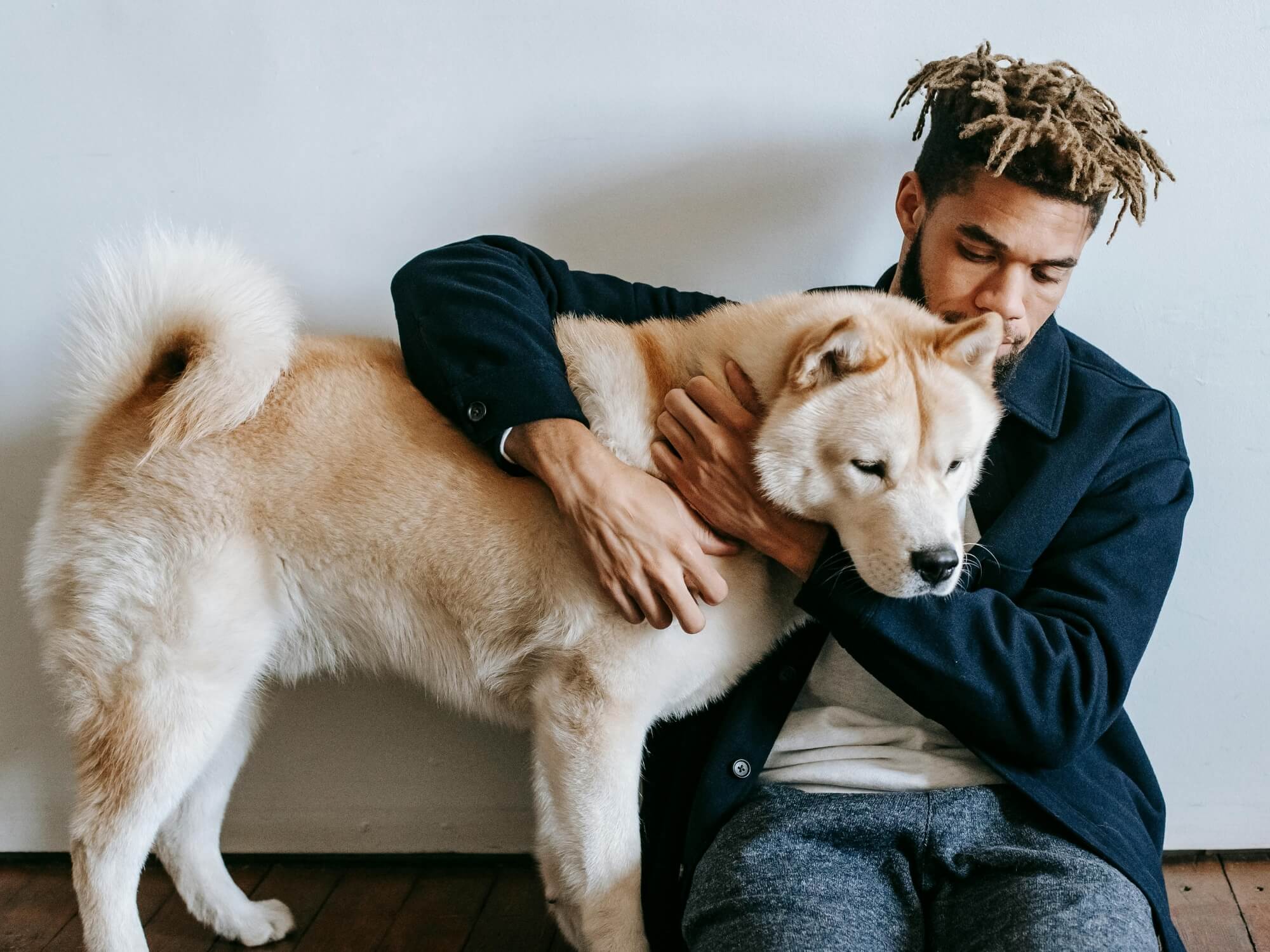 Emergency Veterinarians in Istanbul